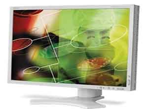 NEC 20 NEC 20